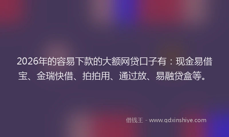2026年的容易下款的大额网贷口子有：现金易借宝、金瑞快借、拍拍用、通过放、易融贷盒等。