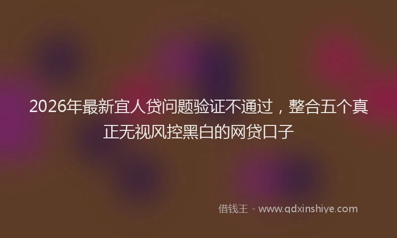 2026年最新宜人贷问题验证不通过，整合五个真正无视风控黑白的网贷口子