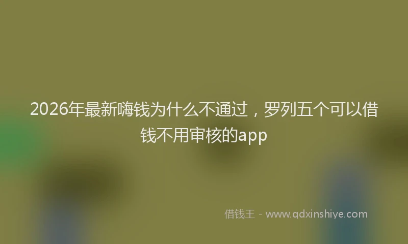 2026年最新嗨钱为什么不通过，罗列五个可以借钱不用审核的app