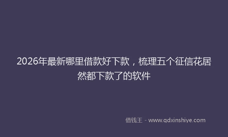 2026年最新哪里借款好下款,梳理五个征信花居然都下款了的软件