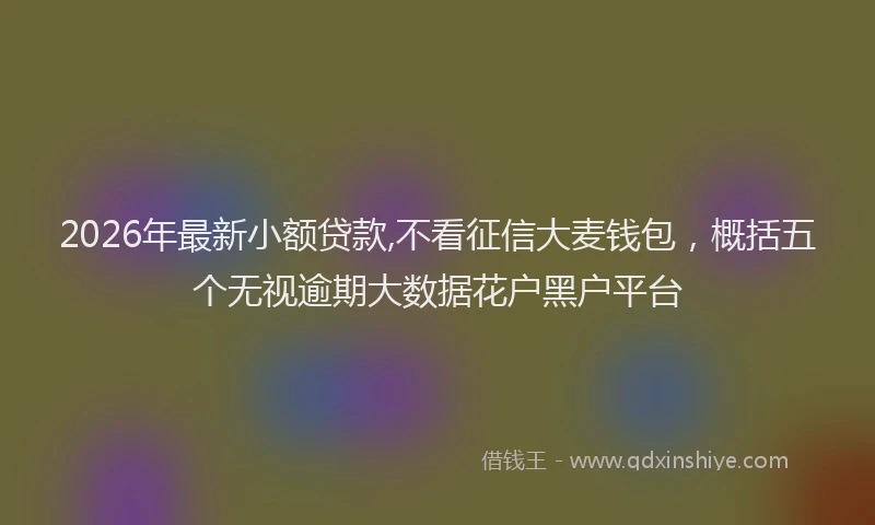 2026年最新小额贷款,不看征信大麦钱包，概括五个无视逾期大数据花户黑户平台