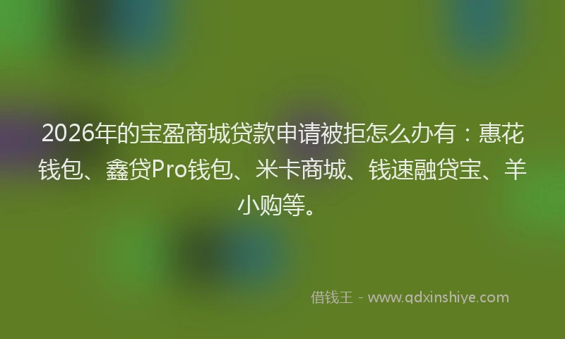 2026年的宝盈商城贷款申请被拒怎么办有：惠花钱包、鑫贷Pro钱包、米卡商城、钱速融贷宝、羊小购等。