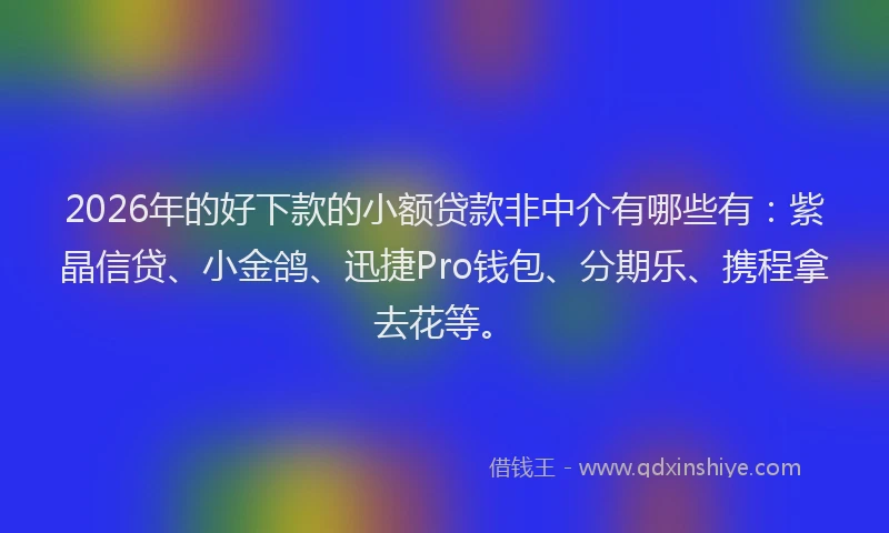 2026年的好下款的小额贷款非中介有哪些有：紫晶信贷、小金鸽、迅捷Pro钱包、分期乐、携程拿去花等。