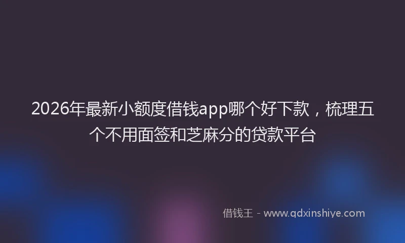 2026年最新小额度借钱app哪个好下款，梳理五个不用面签和芝麻分的贷款平台