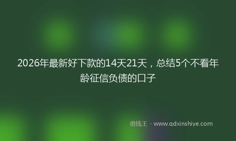 2026年最新好下款的14天21天，总结5个不看年龄征信负债的口子