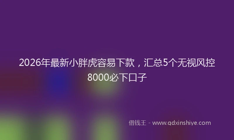 2026年最新小胖虎容易下款，汇总5个无视风控8000必下口子