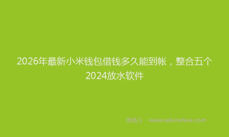 2026年最新小米钱包借钱多久能到帐，整合五个2024放水软件
