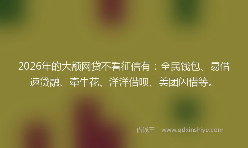 2026年的大额网贷不看征信有：全民钱包、易借速贷融、牵牛花、洋洋借呗、美团闪借等。