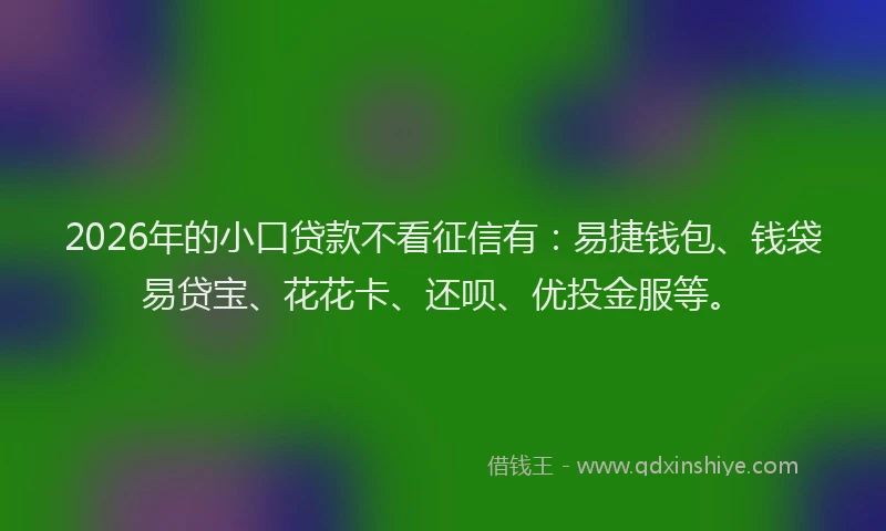 2026年的小口贷款不看征信有：易捷钱包、钱袋易贷宝、花花卡、还呗、优投金服等。