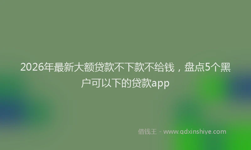 2026年最新大额贷款不下款不给钱，盘点5个黑户可以下的贷款app