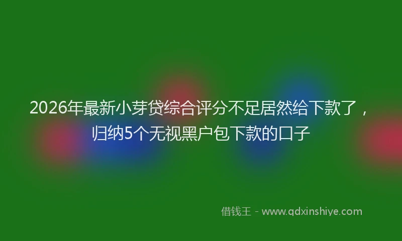 2026年最新小芽贷综合评分不足居然给下款了，归纳5个无视黑户包下款的口子