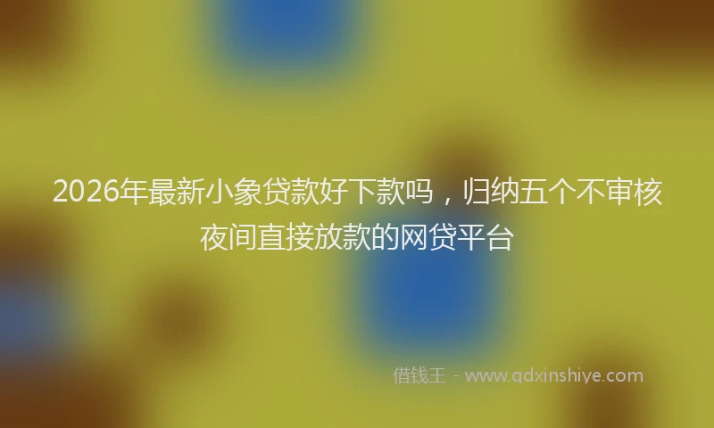 2026年最新小象贷款好下款吗，归纳五个不审核夜间直接放款的网贷平台