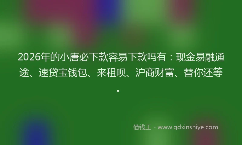2026年的小唐必下款容易下款吗有：现金易融通途、速贷宝钱包、来租呗、沪商财富、替你还等。