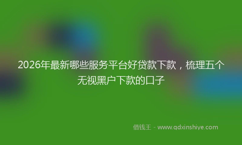 2026年最新哪些服务平台好贷款下款,梳理五个无视黑户下款的口子