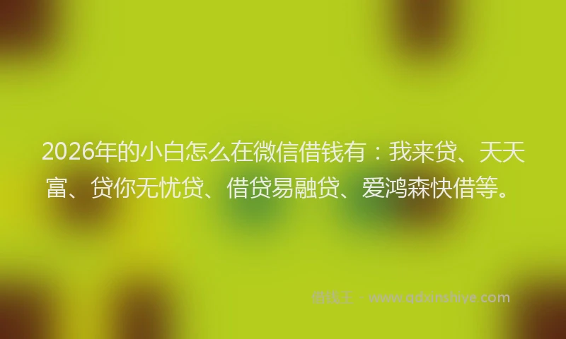 2026年的小白怎么在微信借钱有：我来贷、天天富、贷你无忧贷、借贷易融贷、爱鸿森快借等。