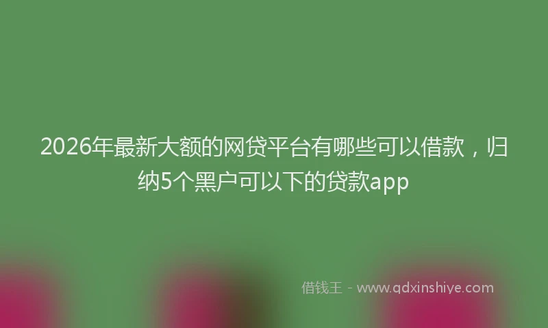 2026年最新大额的网贷平台有哪些可以借款，归纳5个黑户可以下的贷款app