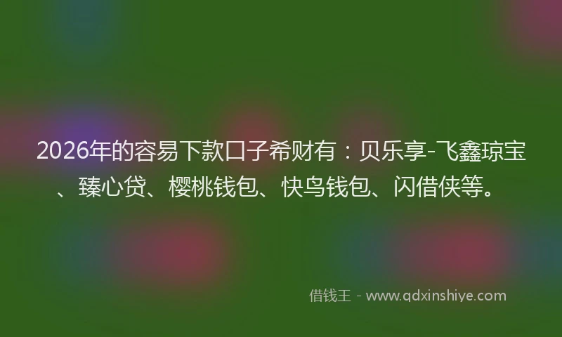 2026年的容易下款口子希财有：贝乐享-飞鑫琼宝、臻心贷、樱桃钱包、快鸟钱包、闪借侠等。