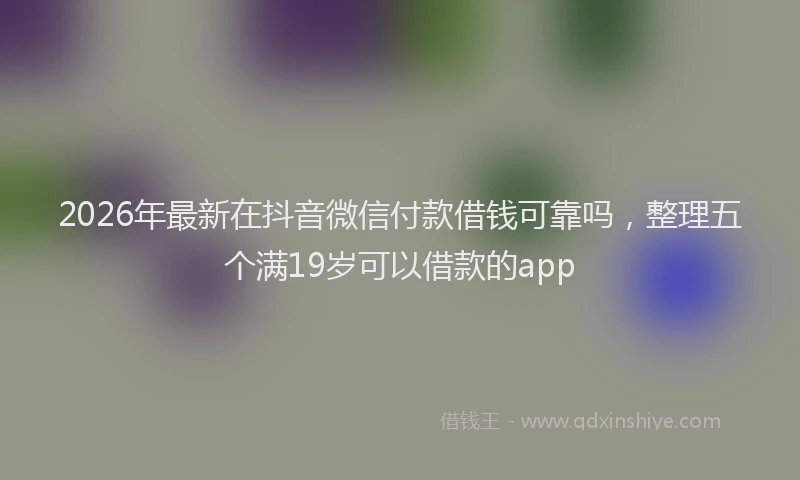 2026年最新在抖音微信付款借钱可靠吗,整理五个满19岁可以借款的app