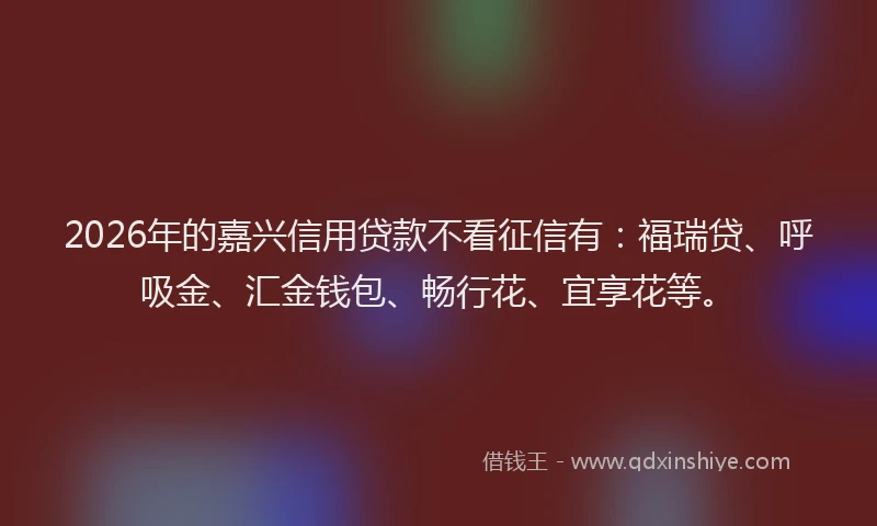 2026年的嘉兴信用贷款不看征信有：福瑞贷、呼吸金、汇金钱包、畅行花、宜享花等。