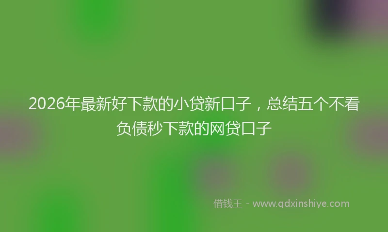 2026年最新好下款的小贷新口子，总结五个不看负债秒下款的网贷口子