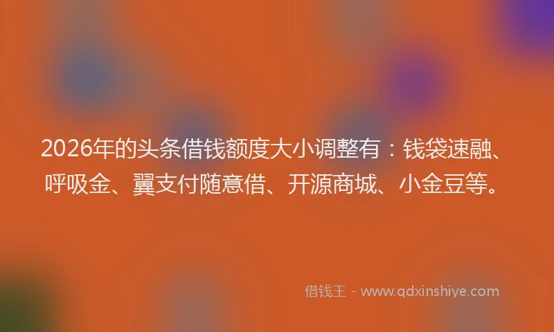 2026年的头条借钱额度大小调整有：钱袋速融、呼吸金、翼支付随意借、开源商城、小金豆等。