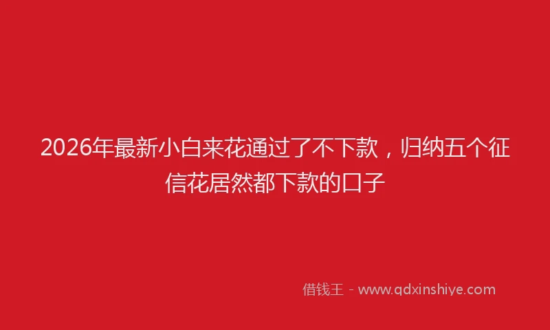 2026年最新小白来花通过了不下款，归纳五个征信花居然都下款的口子