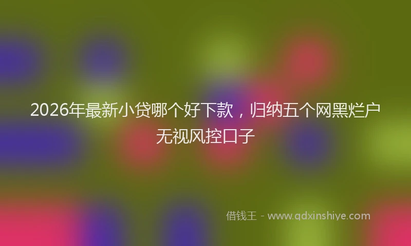 2026年最新小贷哪个好下款，归纳五个网黑烂户无视风控口子