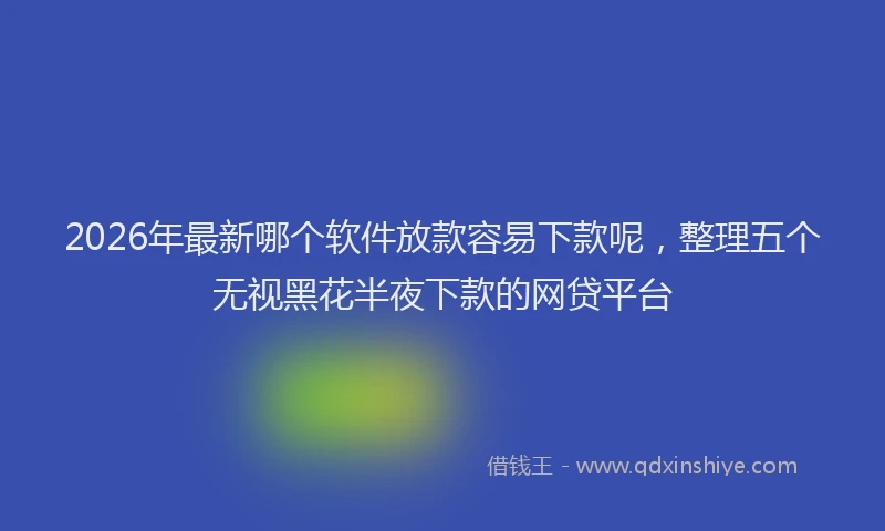 2026年最新哪个软件放款容易下款呢,整理五个无视黑花半夜下款的网贷平台