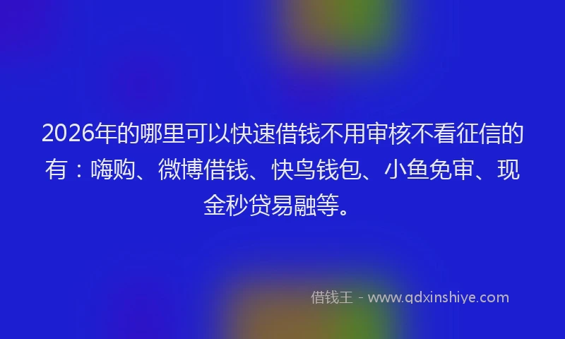 2026年的哪里可以快速借钱不用审核不看征信的有：嗨购、微博借钱、快鸟钱包、小鱼免审、现金秒贷易融等。