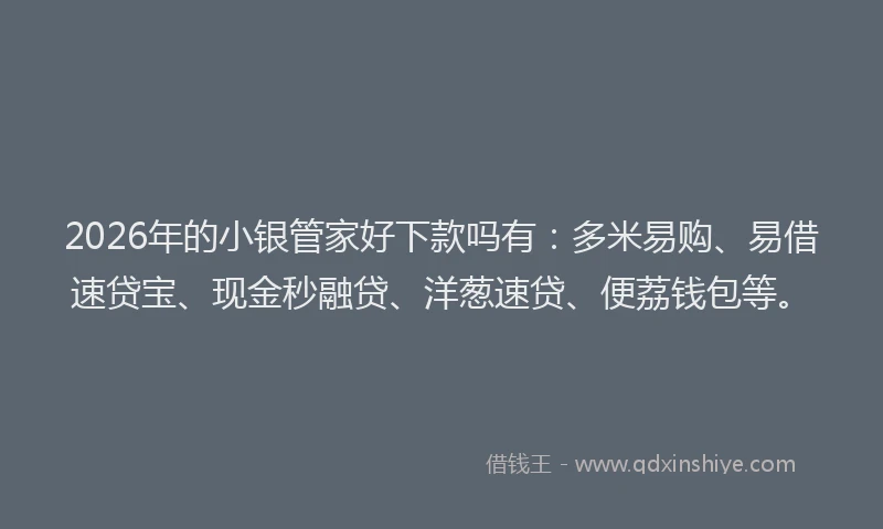 2026年的小银管家好下款吗有：多米易购、易借速贷宝、现金秒融贷、洋葱速贷、便荔钱包等。