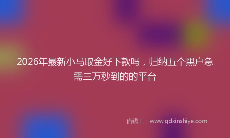 2026年最新小马取金好下款吗，归纳五个黑户急需三万秒到的的平台