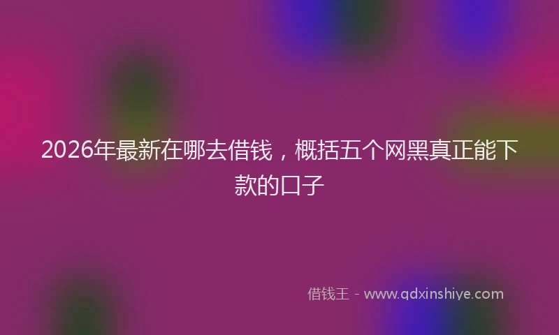 2026年最新在哪去借钱,概括五个网黑真正能下款的口子