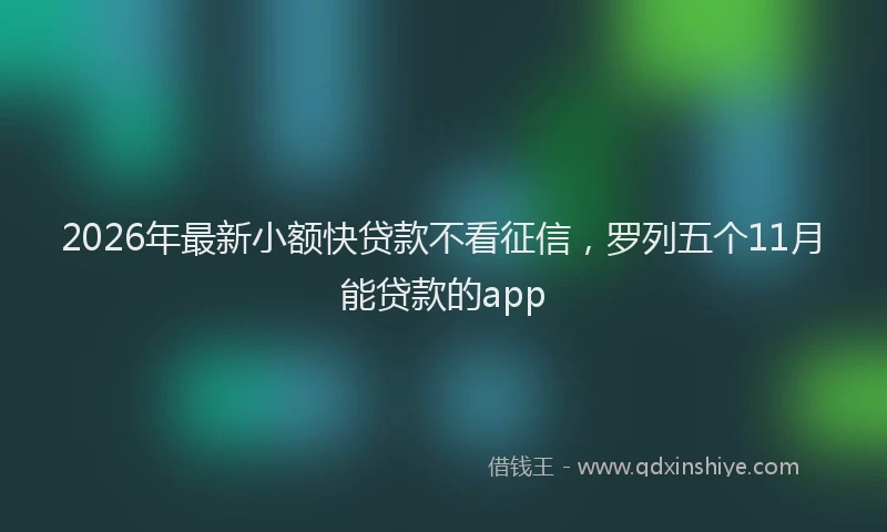 2026年最新小额快贷款不看征信，罗列五个11月能贷款的app