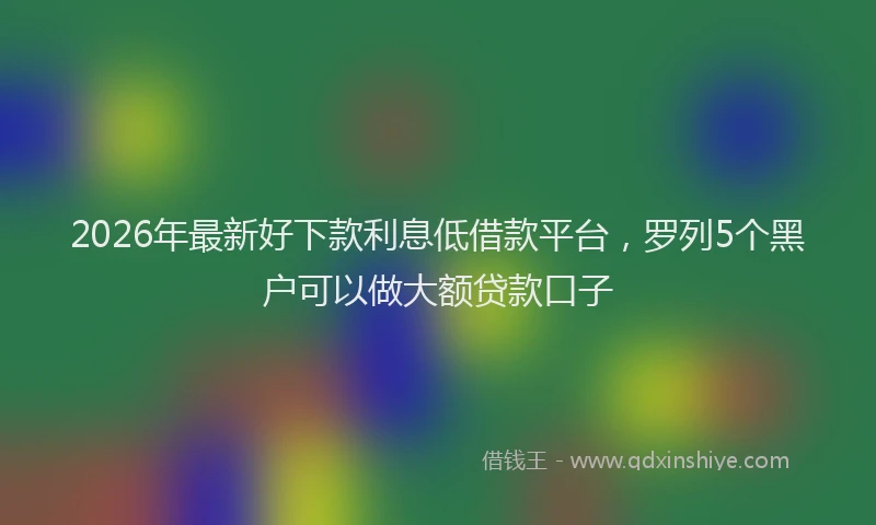 2026年最新好下款利息低借款平台，罗列5个黑户可以做大额贷款口子