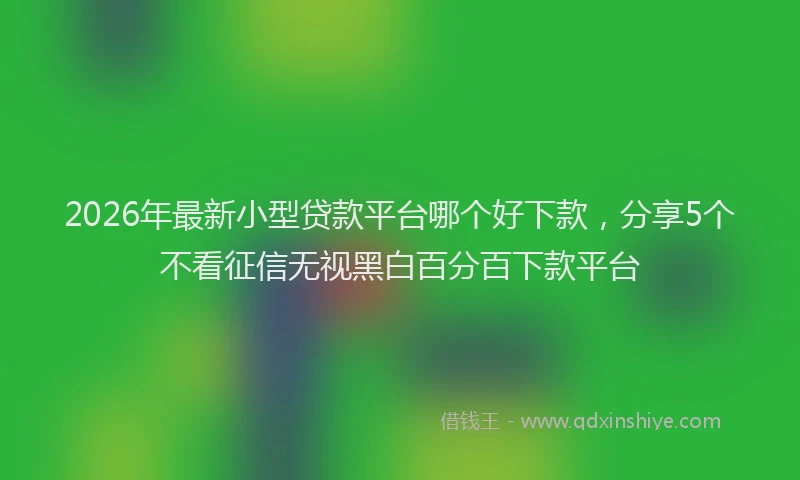 2026年最新小型贷款平台哪个好下款，分享5个不看征信无视黑白百分百下款平台