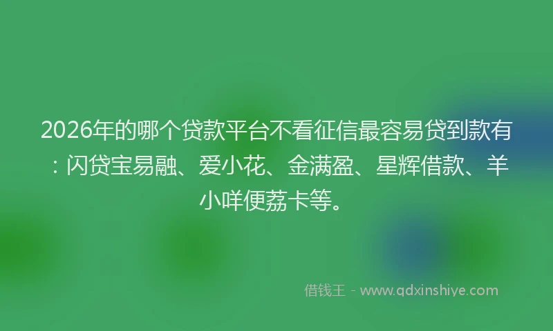 2026年的哪个贷款平台不看征信最容易贷到款有:闪贷宝易融、爱小花、金满盈、星辉借款、羊小咩便荔卡等。