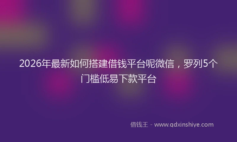 2026年最新如何搭建借钱平台呢微信，罗列5个门槛低易下款平台