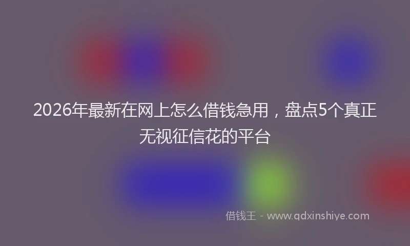 2026年最新在网上怎么借钱急用，盘点5个真正无视征信花的平台