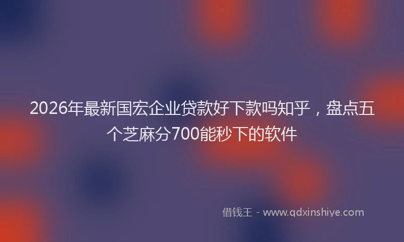 2026年最新国宏企业贷款好下款吗知乎，盘点五个芝麻分700能秒下的软件