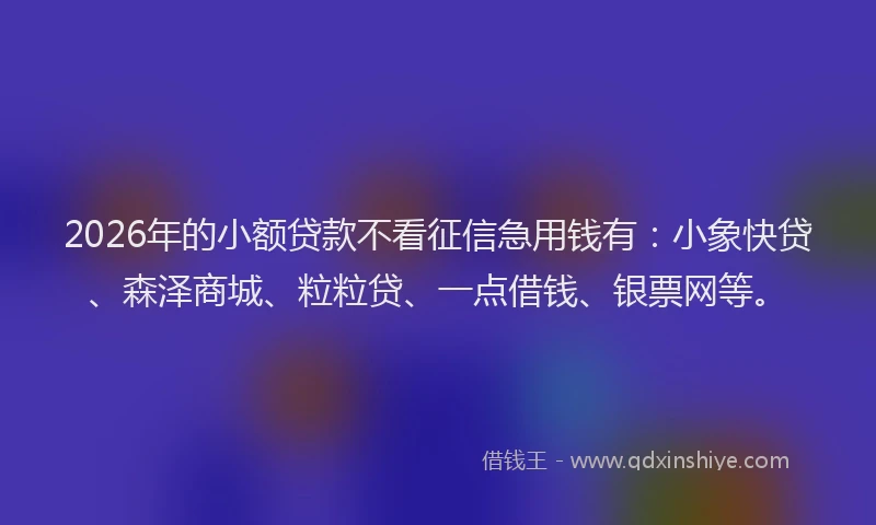 2026年的小额贷款不看征信急用钱有：小象快贷、森泽商城、粒粒贷、一点借钱、银票网等。