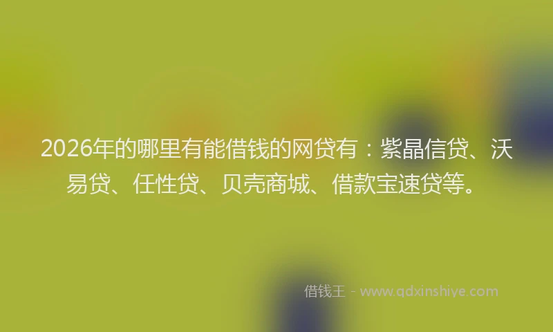 2026年的哪里有能借钱的网贷有：紫晶信贷、沃易贷、任性贷、贝壳商城、借款宝速贷等。
