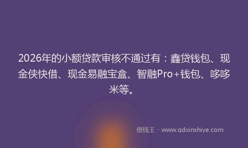 2026年的小额贷款审核不通过有：鑫贷钱包、现金侠快借、现金易融宝盒、智融Pro+钱包、哆哆米等。