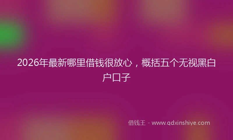 2026年最新哪里借钱很放心，概括五个无视黑白户口子