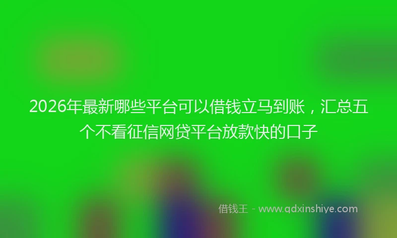 2026年最新哪些平台可以借钱立马到账,汇总五个不看征信网贷平台放款快的口子