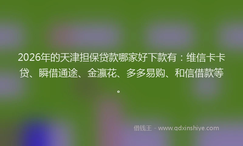 2026年的天津担保贷款哪家好下款有：维信卡卡贷、瞬借通途、金瀛花、多多易购、和信借款等。