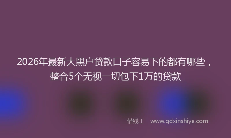 2026年最新大黑户贷款口子容易下的都有哪些，整合5个无视一切包下1万的贷款