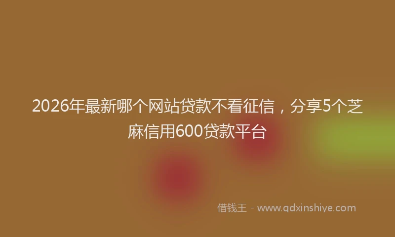 2026年最新哪个网站贷款不看征信，分享5个芝麻信用600贷款平台