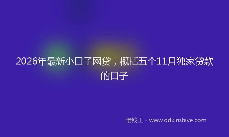 2026年最新小口子网贷，概括五个11月独家贷款的口子