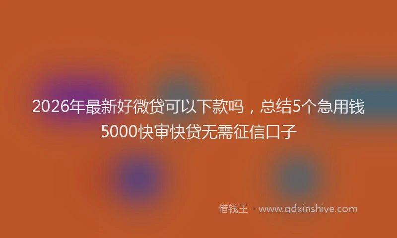 2026年最新好微贷可以下款吗，总结5个急用钱5000快审快贷无需征信口子