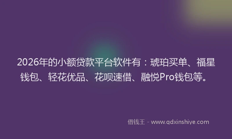 2026年的小额贷款平台软件有：琥珀买单、福星钱包、轻花优品、花呗速借、融悦Pro钱包等。